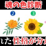 【スピリチュアル】あなたの魂は何色！？隠れた性格が分かる診断テスト！【ゆっくり解説】