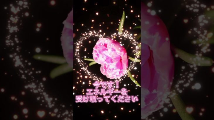 願いをコメントすると効果倍増💖✨#スピリチュアル #波動 #幸運