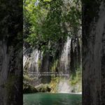 1分間瞑想　意識を「今ここ」にもってくる　＃マインドフルネス　＃誘導瞑想