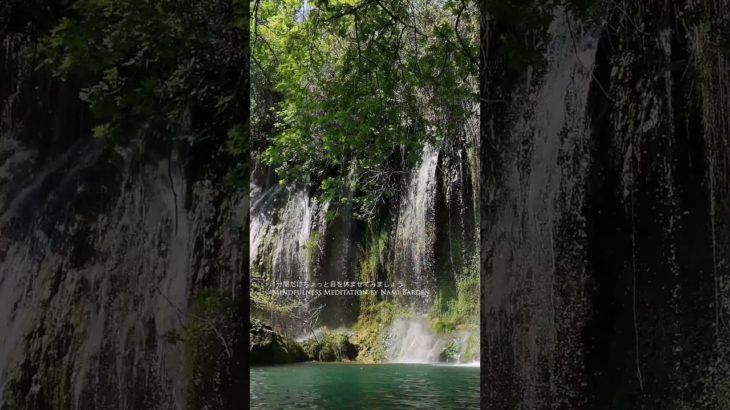 1分間瞑想　意識を「今ここ」にもってくる　＃マインドフルネス　＃誘導瞑想