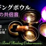 【演奏1時間  チベットシンギングボウル】 共倍音ヒーリングサウンド～瞑想・浄化・心が落ち着く・癒し　Singing Bowl Coharmonic Healing Sounds