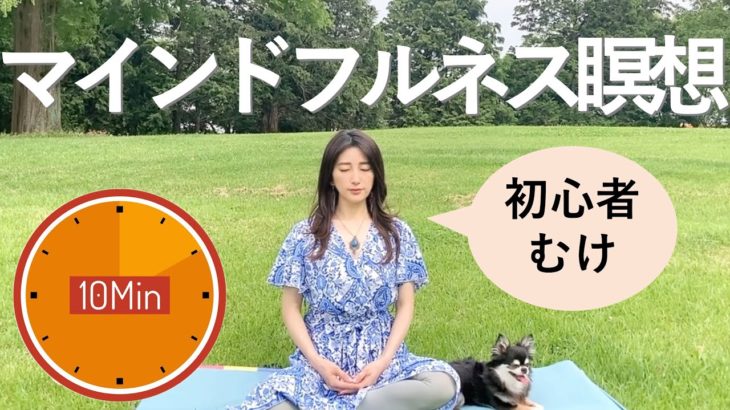 【瞑想】初心者向け 10分マインドフルネス瞑想　簡単な方法　自己肯定感と集中力を高める