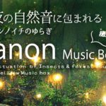 【1/fゆらぎ•睡眠導入】癒しカノン【Healing Slow Music Box “Canon in D”】夏夜の音と光に包まれ眠る【528Hz】瞑想, 睡眠bgm