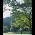 朝のエクササイズ　20230802    #マインドフルネス　#ヨガ  #気功