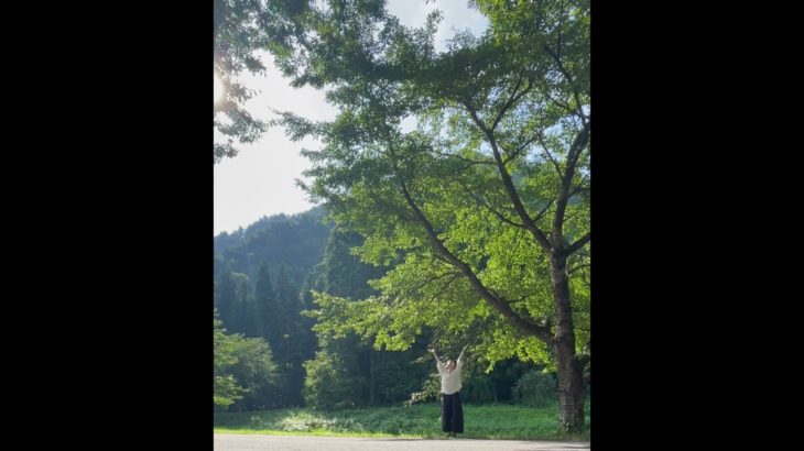 朝のエクササイズ　20230802    #マインドフルネス　#ヨガ  #気功