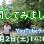 【スピリチュアルカウンセラーまゆみさんのの生トーク】2023年９月２日(土)14:00～まゆみさんのYouTubeライブトークがあります