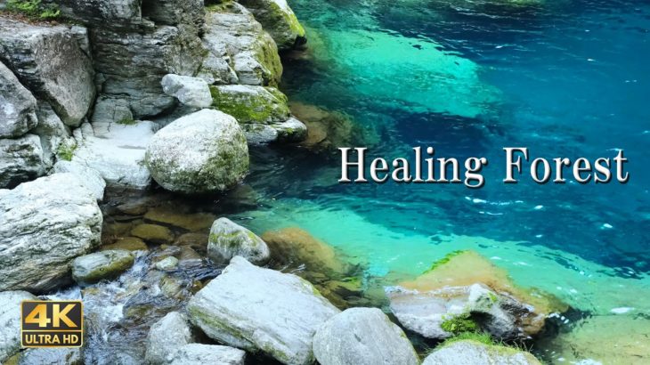 【4K ASMR】マインドフルネス 睡眠｜心と身体を癒すリラクゼーション｜仕事集中｜作業用