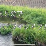 たった5分で”聞く”マインドフルネス”動画／認知行動療カウンセリングセンター広島店