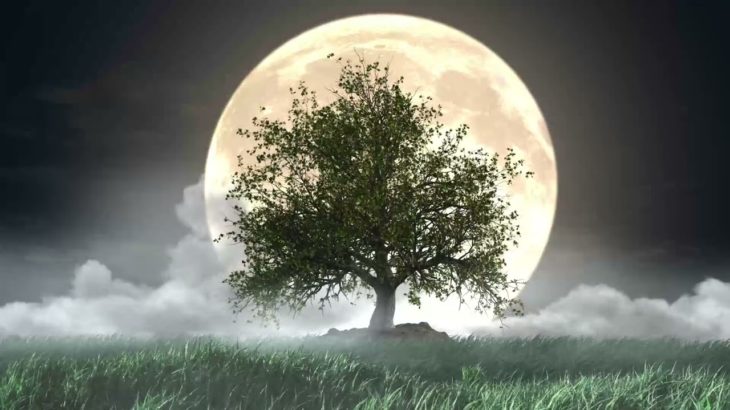 【睡眠導入・528Hz】眠りを助ける癒しの瞑想音楽とソルフェジオ周波数が毎日のストレス緩和、疲労回復を促す濃縮した睡眠の時間を…