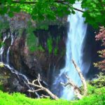 ソルフェジオ周波数528Hz【癒し BGM / 作業用BGM】ストレス解消・交感神経・副交感神経・疲労・ストレス・緊張・免疫・快眠・健康・予防・自律神経・対人関係・免疫力