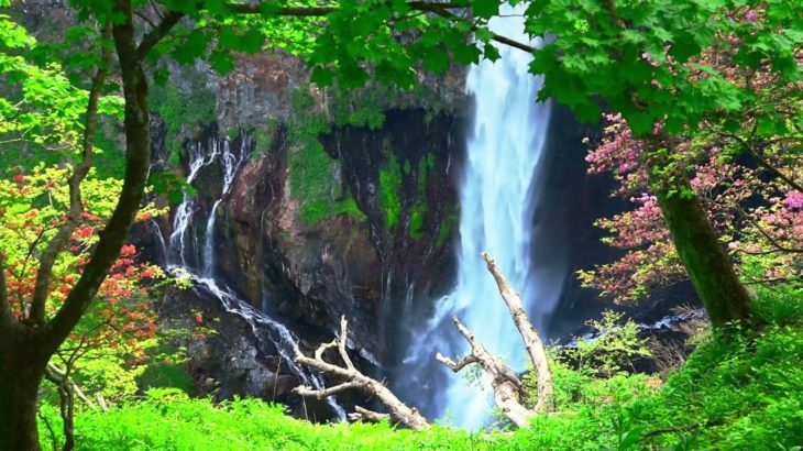 ソルフェジオ周波数528Hz【癒し BGM / 作業用BGM】ストレス解消・交感神経・副交感神経・疲労・ストレス・緊張・免疫・快眠・健康・予防・自律神経・対人関係・免疫力