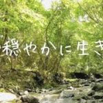 7/28(金)10分瞑想ライブ 反応を対応に置き換える(毎朝6時、月曜のみ5時から)