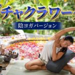 7Chakra 陰ヨガ | 60分クラス | Chakra Work | チャクラワーク