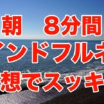 【朝のマインドフルネス瞑想8分】#マインドフルネス瞑想  #ソルフェジオ528hz  #朝瞑想
