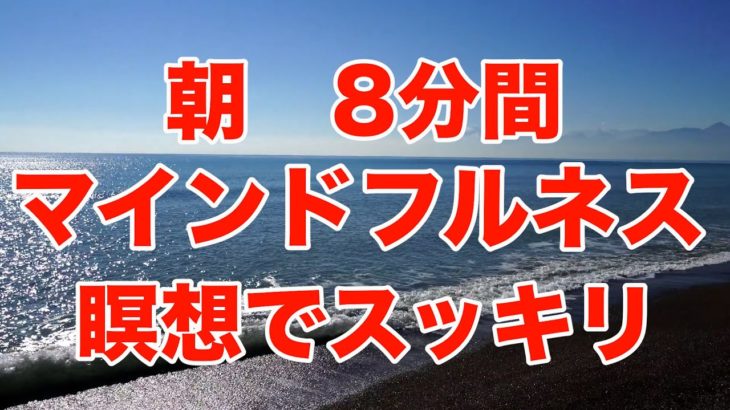 【朝のマインドフルネス瞑想8分】#マインドフルネス瞑想  #ソルフェジオ528hz  #朝瞑想