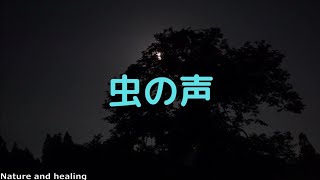 【自然の音 癒しの風景】田舎の夜　虫の声　睡眠用BGM 瞑想用 作業用 勉強用にも
