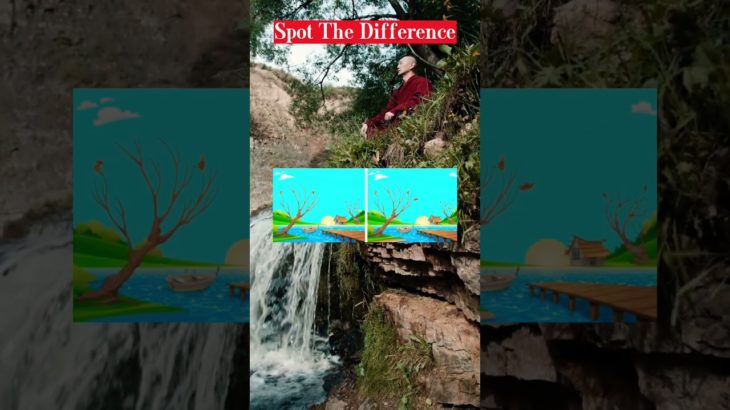 Health & Well-being – Spot the Difference