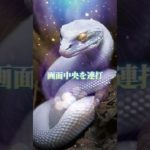 LINEともだち追加はコメント欄から⛩✨  #スピリチュアル #金運 #開運