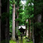 【Meditation music, zen 30s】into nature. Eiheiji, temple【朝の瞑想。禅。30秒間】自然のなかへ（永平寺）。