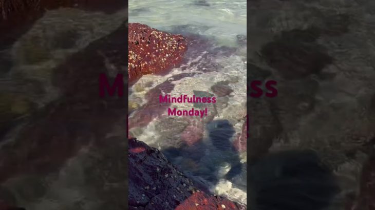 Mindfulness Monday! 1 #cyber #mindfulness #peace #mentalhealth #monday #peaceful