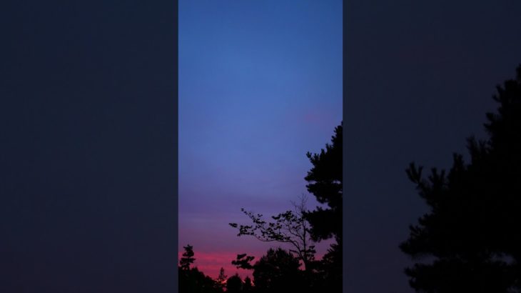 【Mindfulness, meditation, 15s】The day called today. 【マインドフルネス瞑想】今日という日。それは、明日になれば、思い出になる。