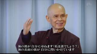 Mindfulness of Thich Nhat Hanh＃禅僧ティク・ナット・ハン＃怒りの炎を抱きしめる