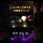 【チベットシンギングボウル】 共倍音ヒーリングサウンド～瞑想・浄化・心が落ち着く・癒し　Singing Bowl Coharmonic Healing Sounds　#shorts#シンギングボウル
