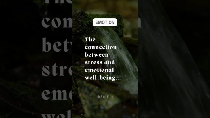 The connection between stress and emotional well being #Quotes #Shorts #PsychologyFacts #Emotion