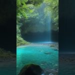 瞑想音楽 #瞑想 #meditation #meditationmusic #meditationforsleep #潜在意識 #zenmusic #zen