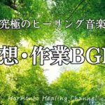 relaxing & concentrating【森の中の瞑想】癒しのBGM。瞑想・作業・読書にピッタリの優しい音楽でリラックス＆集中
