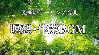 relaxing & concentrating【森の中の瞑想】癒しのBGM。瞑想・作業・読書にピッタリの優しい音楽でリラックス＆集中