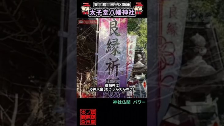 ⚠️ #太子堂八幡神社 #開運 #スピリチュアル #浄化 #パワースポット #御朱印 #御朱イニスト #神社チューバー #聖地巡礼 #shorts