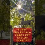 ⚠️神回※精霊の姿を見る事ができたら貴方の悩みは全て解決します🌈✨ #精霊 #運気上昇 #願いが叶う #パワースポット #スピリチュアル #遠隔参拝 #shorts