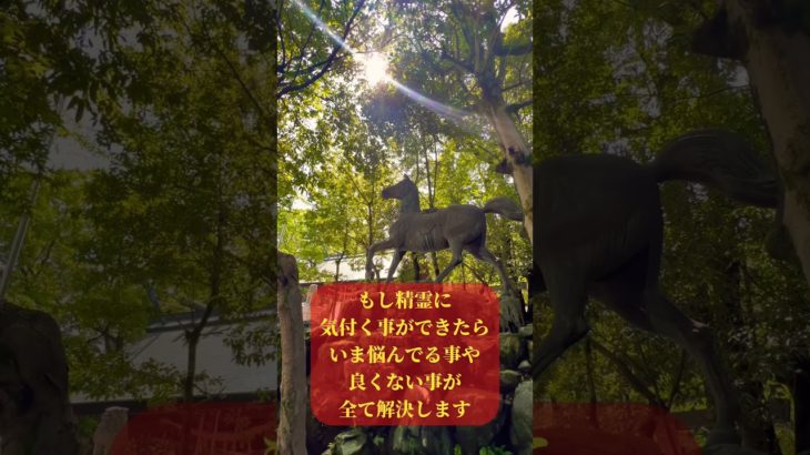 ⚠️神回※精霊の姿を見る事ができたら貴方の悩みは全て解決します🌈✨ #精霊 #運気上昇 #願いが叶う #パワースポット #スピリチュアル #遠隔参拝 #shorts