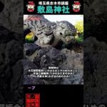 ⚠️ #敷島神社 #開運 #スピリチュアル #浄化 #パワースポット #御朱印 #御朱イニスト #神社チューバー #聖地巡礼 #富士塚 #河童の里 #shorts