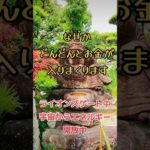 ※動画が見れた人は、生活が激変する前兆!!金運好転おめでとうございます💰 #潜在意識 #開運  #波動 #金運 #スピリチュアル #引き寄せ #奇跡 #tiktok ＃shorts #幸運 #臨時収入