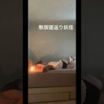 【眠れない夜必見】不眠緩和の呼吸のマインドフルネス瞑想の仕方紹介するー！ #ヨガ #不眠解消 #寝れない　#眠れない #マインドフルネス　#瞑想