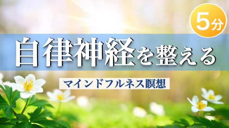 自律神経を整えるマインドフルネス瞑想