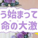 ✨💛✨もう始まってる運命の大激変✨💛✨タロット・占い・スピリチュアルカードリーディング