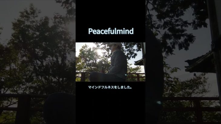 マインドフルネスとシン仮面ライダーの感想