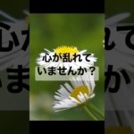 心を整えるマインドフルネス呼吸瞑想