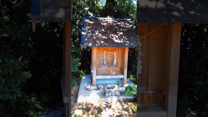 #鹿児島五社 #若宮神社 #癒し #スピリチュアル #パワースポット #若宮公園 #禰󠄀豆子の歌