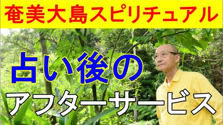 【奄美大島スピリチュアル】占い後のアフターサービス