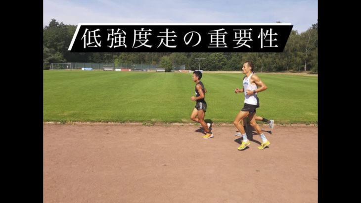 低強度走の重要性