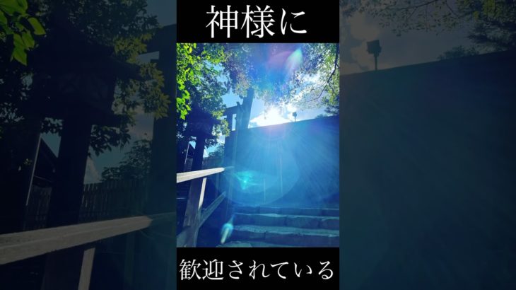 🌈伊勢神宮正式参拝🌈神様、龍神様を感じた日❤️私は守られてる❣️🐲🐉🍀🌈✨✨✨【スピリチュアル】【ゆっくり解説】   #神様 #伊勢神宮 #正式参拝 #ゆっくり解説 #スピリチュアル #龍神様 #龍
