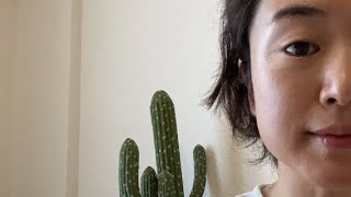 「孤独」「寂しさ」が強い女性ほどスピリチュアル度高めな理由