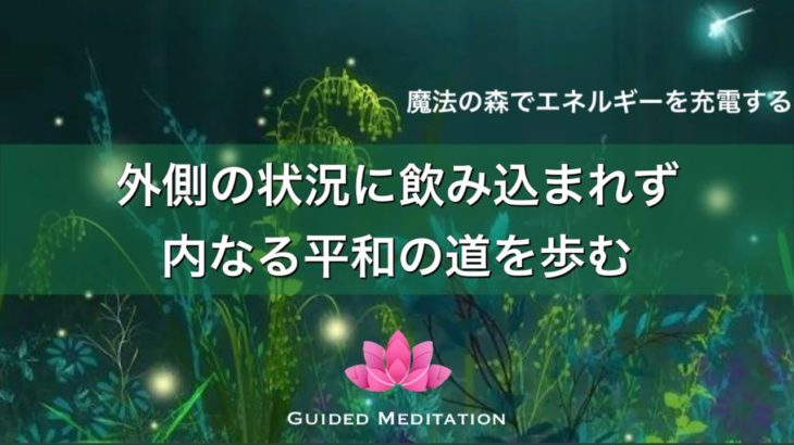 【誘導瞑想】一日・一瞬を内なる平和の道を揺るぎなく歩む｜魔法の森でエネルギーを充電する