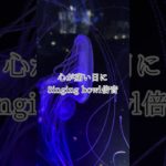 心が痛い日に✖︎シンギングボウル（倍音/睡眠/瞑想/倍音浴/ヒーリングミュージック/リラクゼーション)