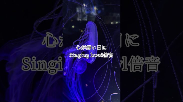 心が痛い日に✖︎シンギングボウル（倍音/睡眠/瞑想/倍音浴/ヒーリングミュージック/リラクゼーション)
