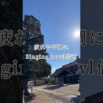 疲れや不調に✖️シンギングボウル（倍音/睡眠/瞑想/倍音浴/ヒーリングミュージック/リラクゼーション)